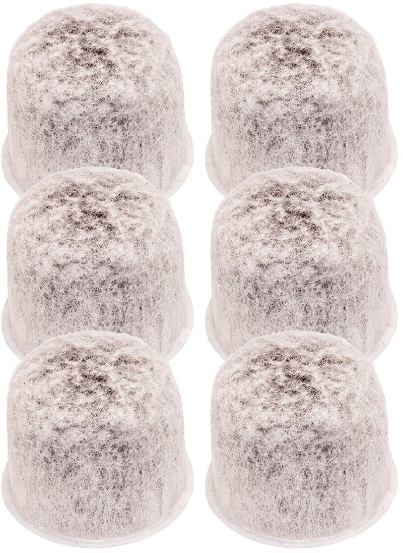 BLENDIN Blendin Coffee Maker Charcoal Water Filter Compatible with Capresso 444090 6 Pack 