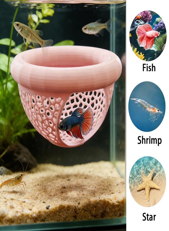 Liyujuping Floating Betta Hammock and Shrimp Feeder, Cave and Hammock, Small Fish Feeding Ring & Resting Spot, Fish Tank Accessories (White) - Image 5