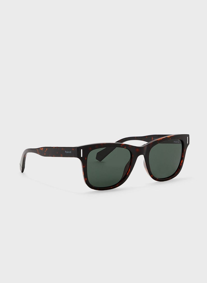 Polaroid Wayfarers Sunglasses - Image 1