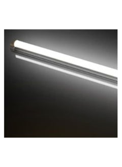 LOULUEN T8 LED Tube Light 