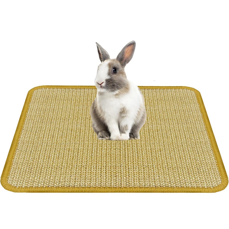 DYAUS Bunny Scratch Pad, Natural Sisal Rabbit Scratching Mat for Claws and Teeth Care, Indoor Bunny Chew Toys Bunny Bed for Biting Sleeping Nesting (1PC, 16x12in) - Image 1