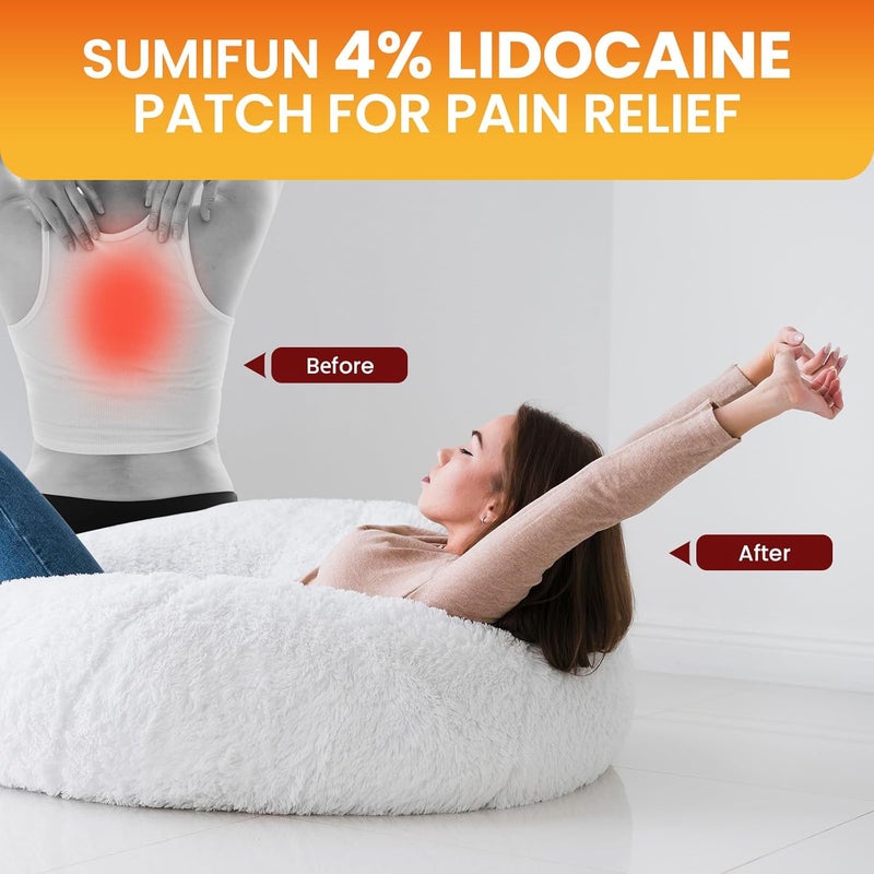 Sumifun لصقات سومي فون 4 ليدوكائين لتخفيف الألم 20 قطعة لصقات ليدوكائين حمراء صينية أقصى قوة جل لصقات لآلام العضلات آلام الظهر البسيطة آلام المفاصل مسكن موضعي خالي من الرائحة - Image 4