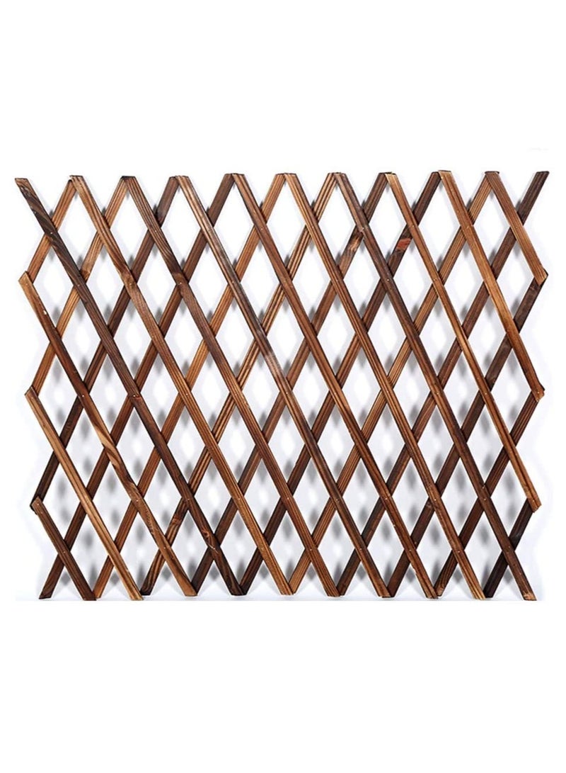 LINGWEI Expandable Wooden Garden Fence Portable Wicker Picket Fence Trellis Plant Vine Climbing Frame Support Multifunctional Garden Fence - Image 4