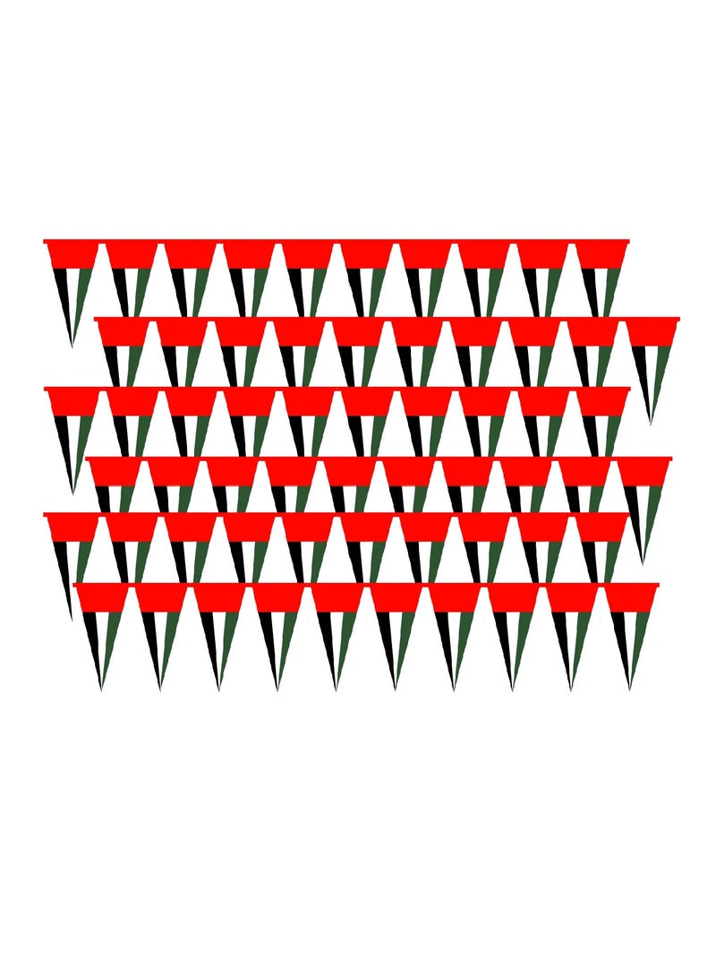 Boxwoods 6 PCS Of United Arab Emirates Flag Design Long Bunting Banners For National Day Decoration - Image 2