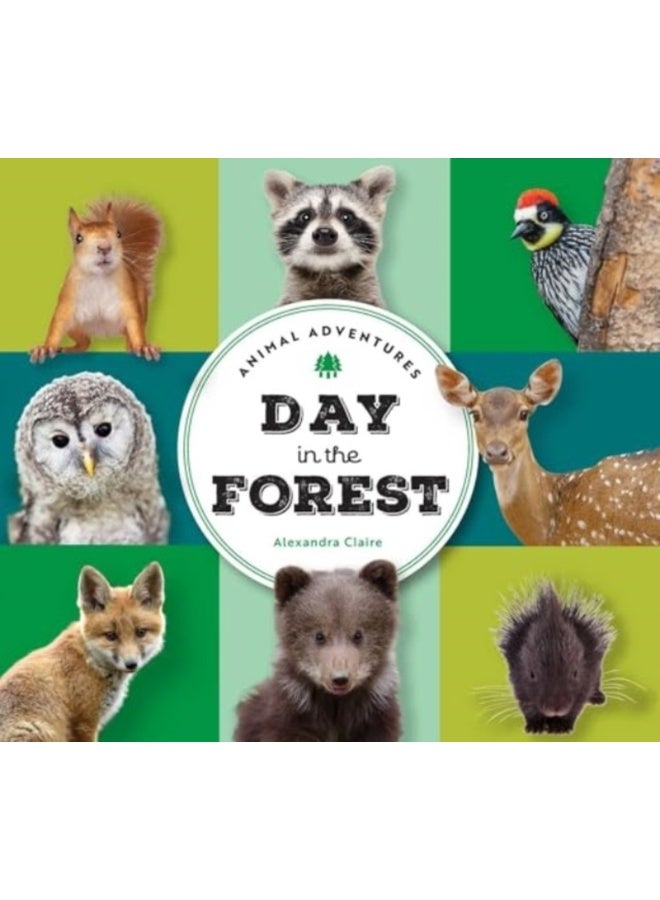 Animal Adventures: Day in the Forest 
