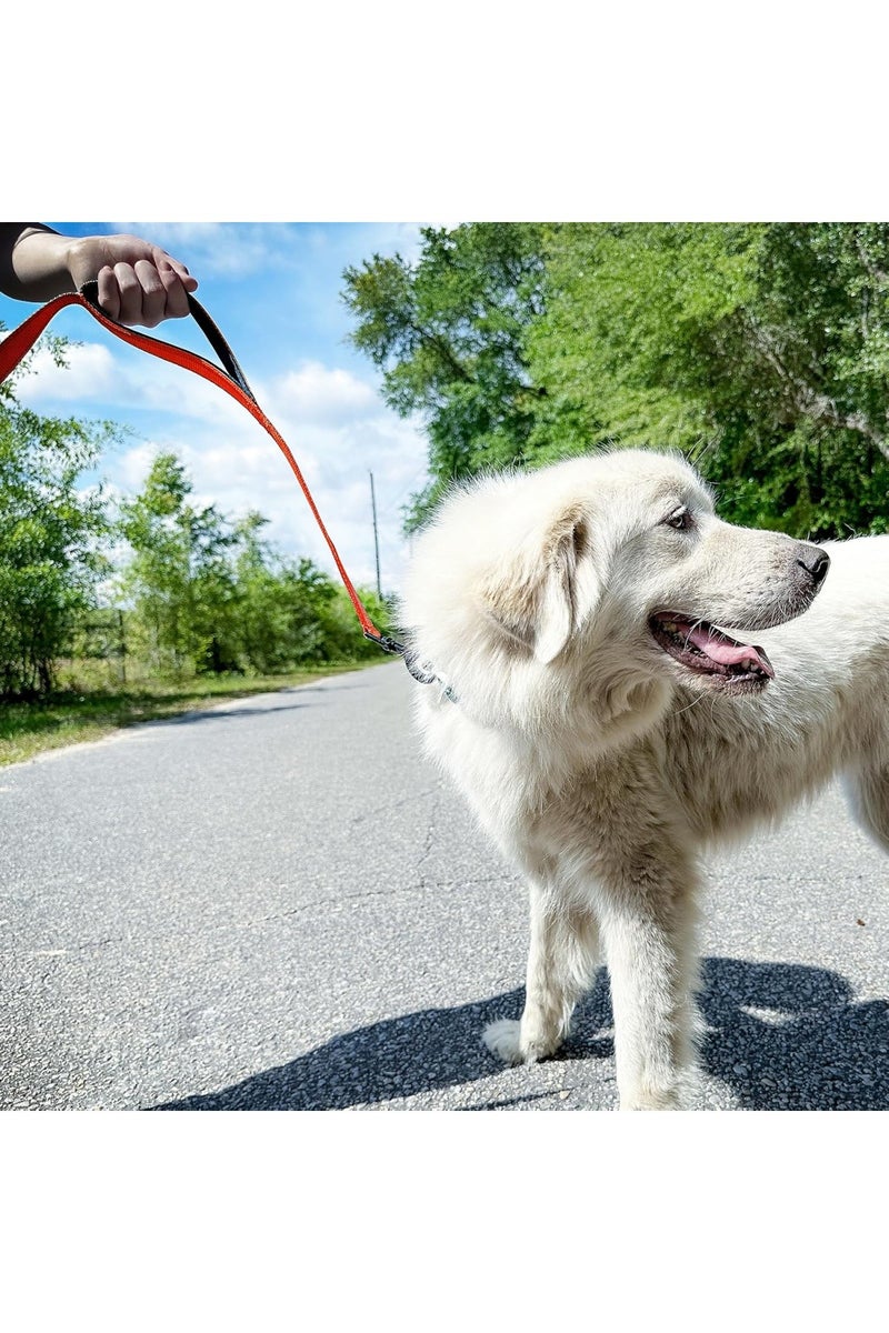 Double Handle Heavy Duty Dog Leash for Medium and Large Dogs, 25mm x 1.5m, for Medium and large dogs, Orange - Image 4