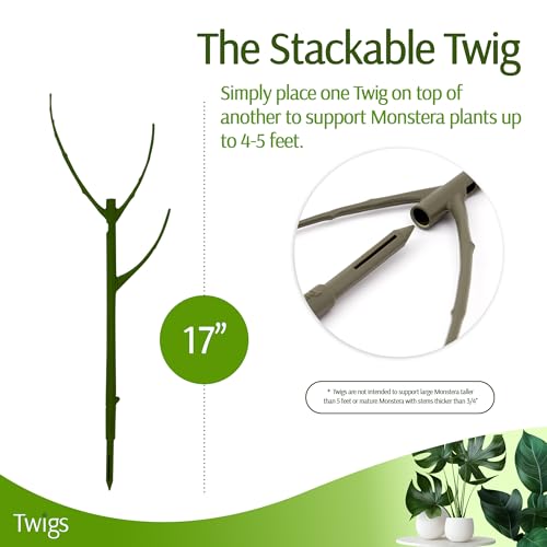 Twigs GA - Stackable Monstera Plant Support Stakes, Climbing Support for Indoor & Outdoor Use, Plant Accessories, Aesthetic Alternative to Moss Poles & Trellises – Monstera Green, 5 Pack, 17" L - Image 4