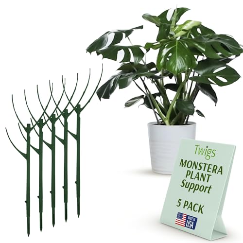 Twigs GA - Stackable Monstera Plant Support Stakes, Climbing Support for Indoor & Outdoor Use, Plant Accessories, Aesthetic Alternative to Moss Poles & Trellises – Monstera Green, 5 Pack, 17" L - Image 1