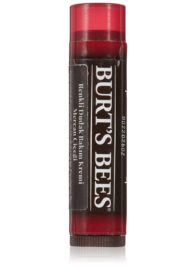 Burt's Bees Lip Balm Tinted Daisy 0.15 Ounce - Image 1