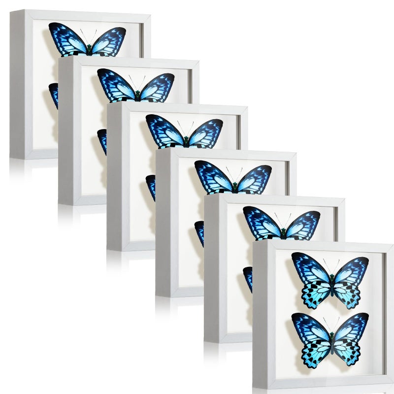Tuanse 6 Pieces Shadow Box Picture Frame Square Shadow Boxes Display Cases for Sports Memorabilia Wedding Memories Crafts Pins Awards Medals Tickets and PhotosWhite5 x 5 Inch