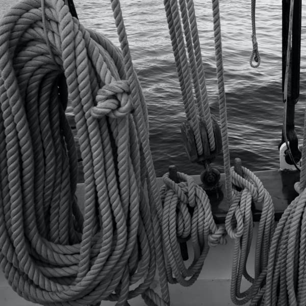 Rope & Cord 12-Strand DYMAX Rope | Gray | 10, 25, 50, 100, 600 ft | ½, ¼, 1/8, 3/8, 5/16 in | Made in The USA - Image 3