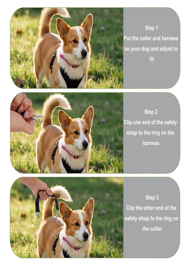 lasuroa 3pcs Dog Prong Collar Safety Clip, Adjustable Reflective Nylon Leash Extender Strap with Metal Dual Clasps 360° Rotatable Dog Harness Connector for Pet Walking Running and Hiking - Image 4