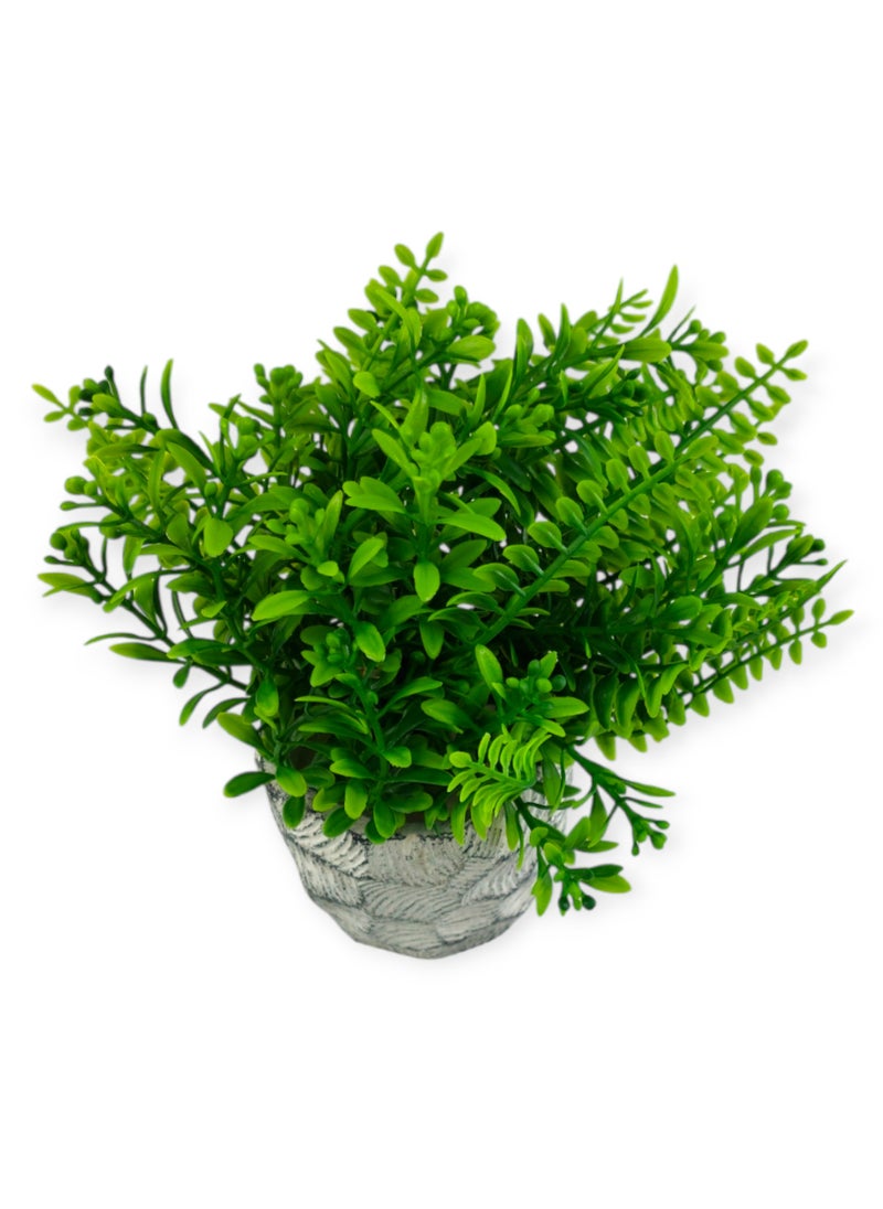 Generic Artificial Grass In Pottery Pot  - Image 2