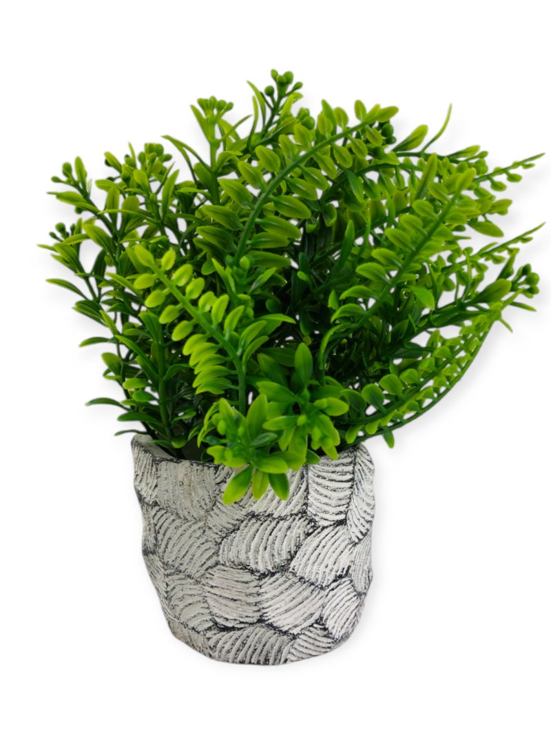 Generic Artificial Grass In Pottery Pot  - Image 3