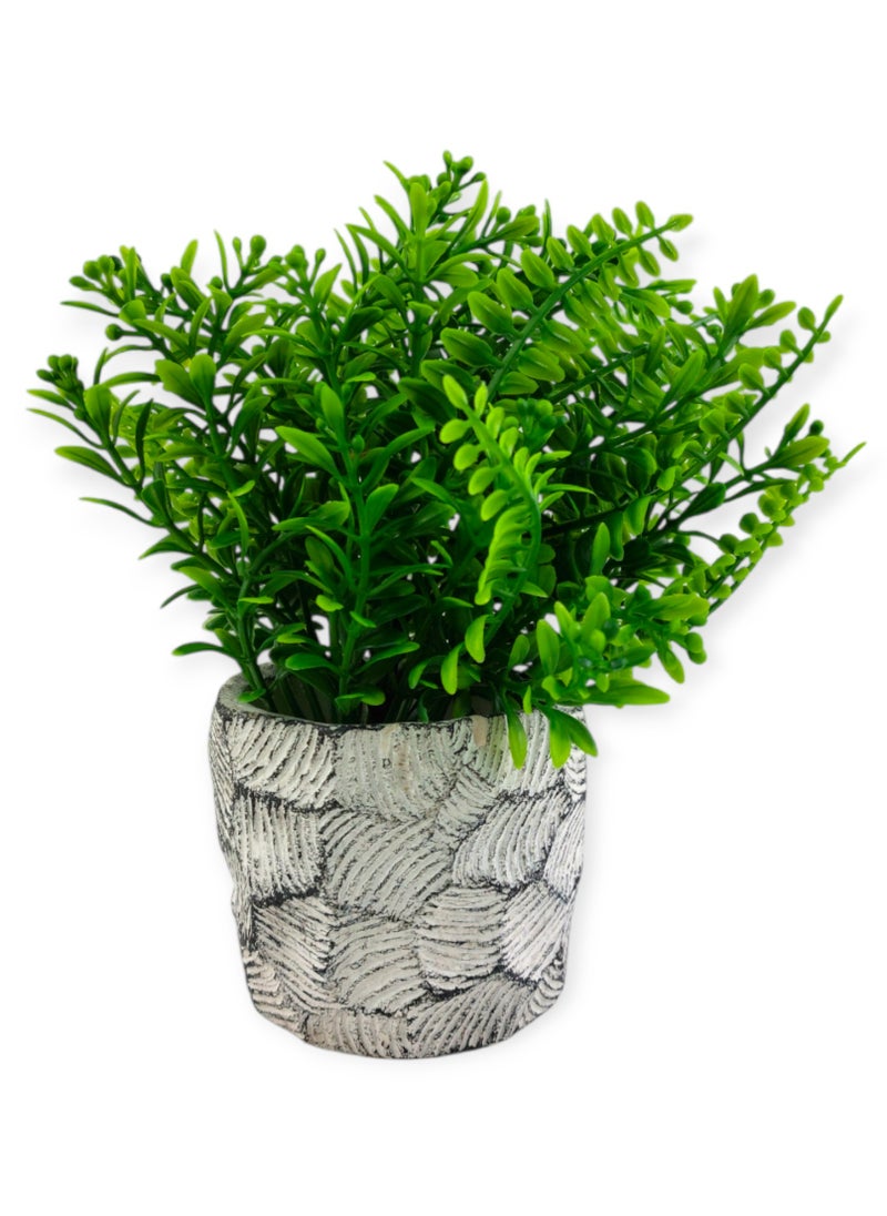 Generic Artificial Grass In Pottery Pot  - Image 1