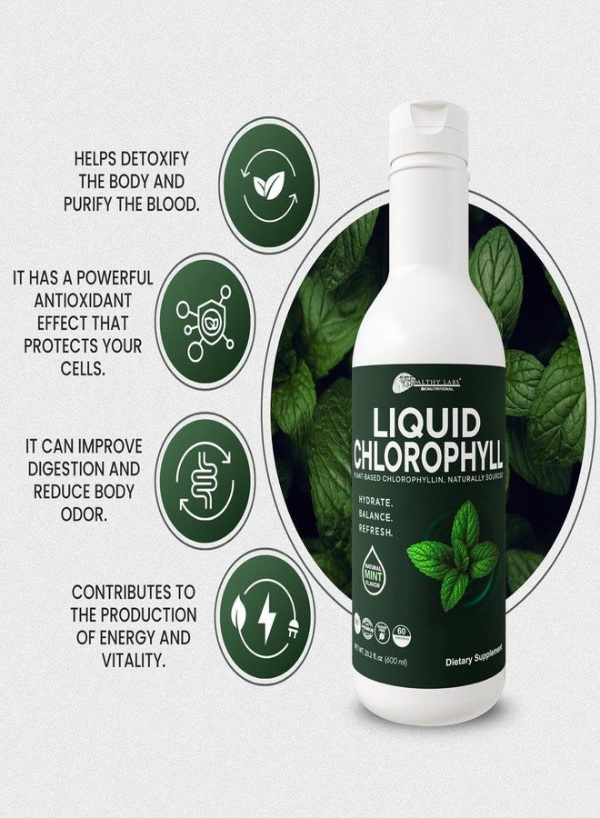 vidaherbal Liquid Chlorophyll - 20.2 fl oz (600 mL) - Natural Mint Flavor - Plant-Based Chlorophyllin Supplement - Supports Daily Energy, Hydration & Digestive Health - 60 Servings - No Sugar, Non-GMO - Image 3