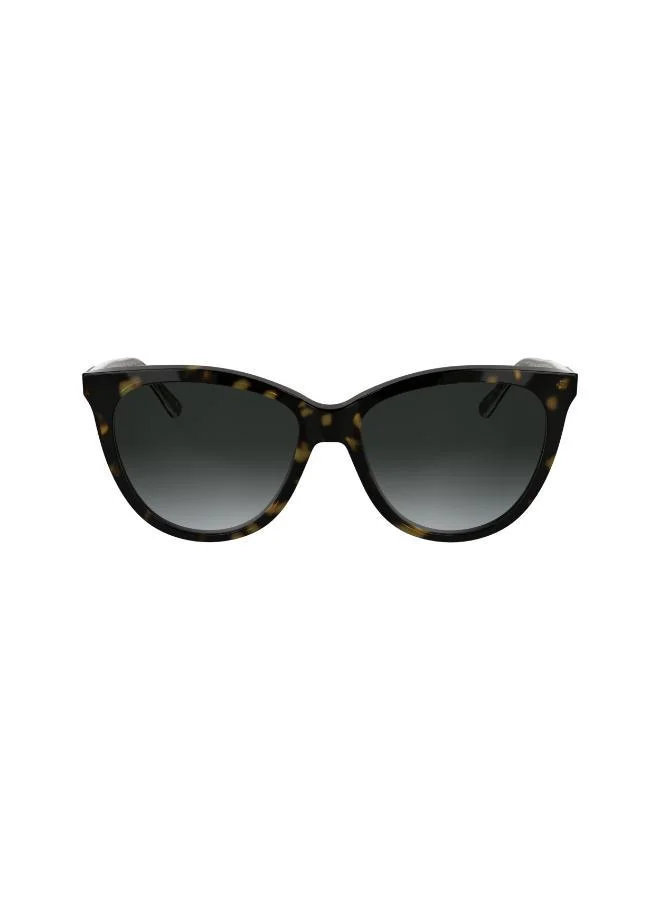 CALVIN KLEIN Butterfly Sunglasses