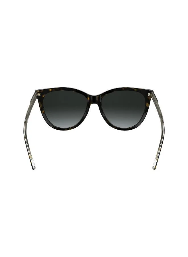 CALVIN KLEIN Butterfly Sunglasses