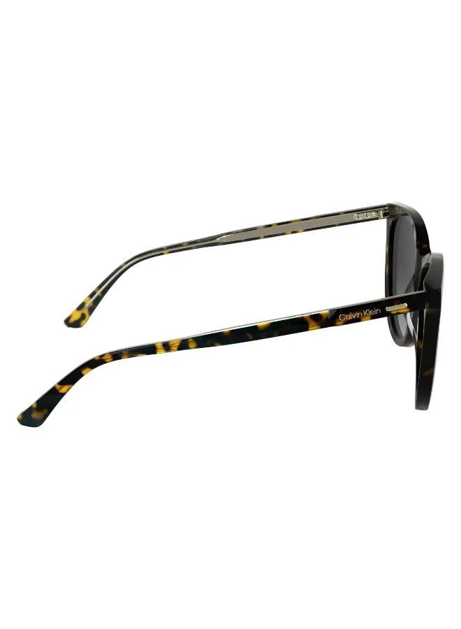 CALVIN KLEIN  Butterfly Sunglasses for Women | Best Price UAE