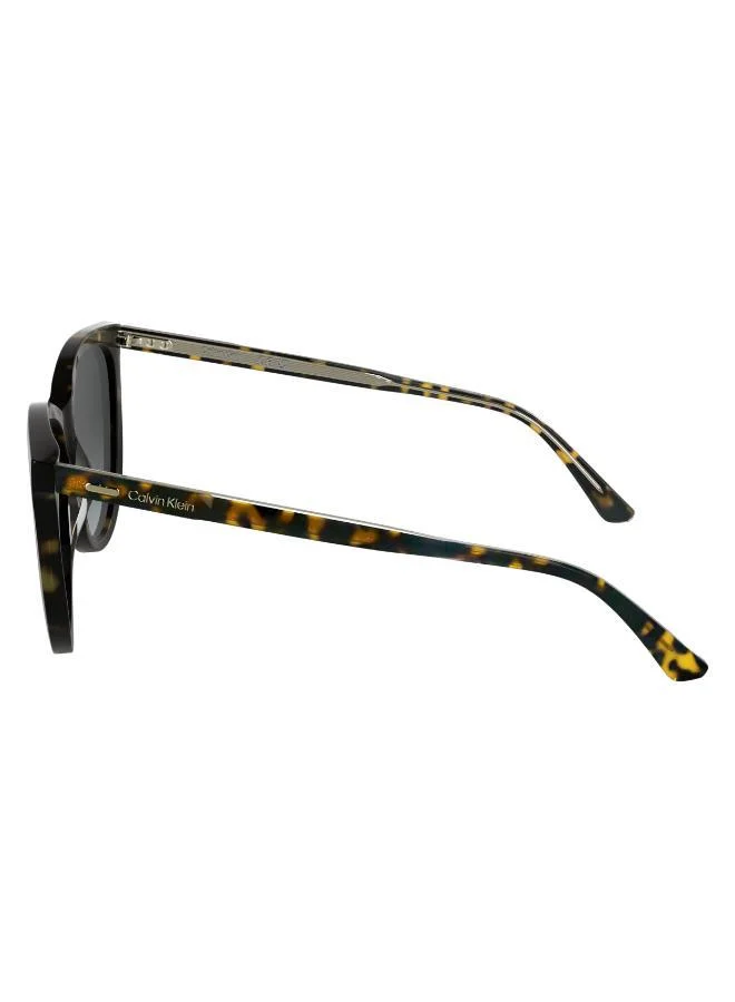 CALVIN KLEIN  Butterfly Sunglasses for Women | Best Price UAE