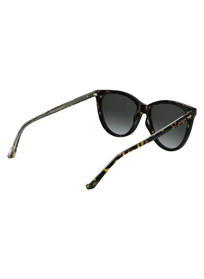 CALVIN KLEIN  Butterfly Sunglasses for Women | Best Price UAE