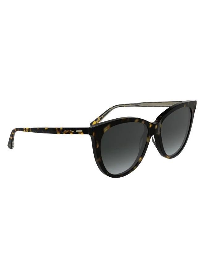 CALVIN KLEIN  Butterfly Sunglasses for Women | Best Price UAE