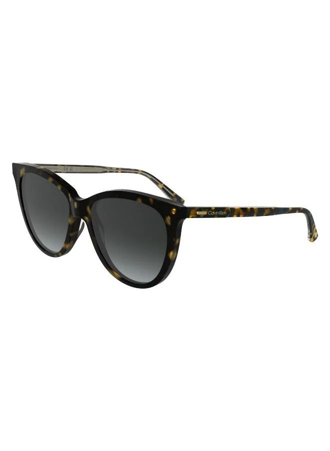 CALVIN KLEIN  Butterfly Sunglasses for Women | Best Price UAE
