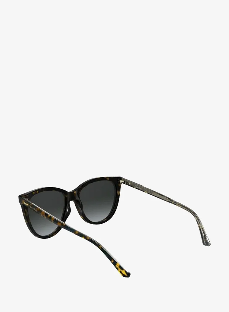 Calvin Klein  Butterfly Sunglasses for Women | Best Price UAE