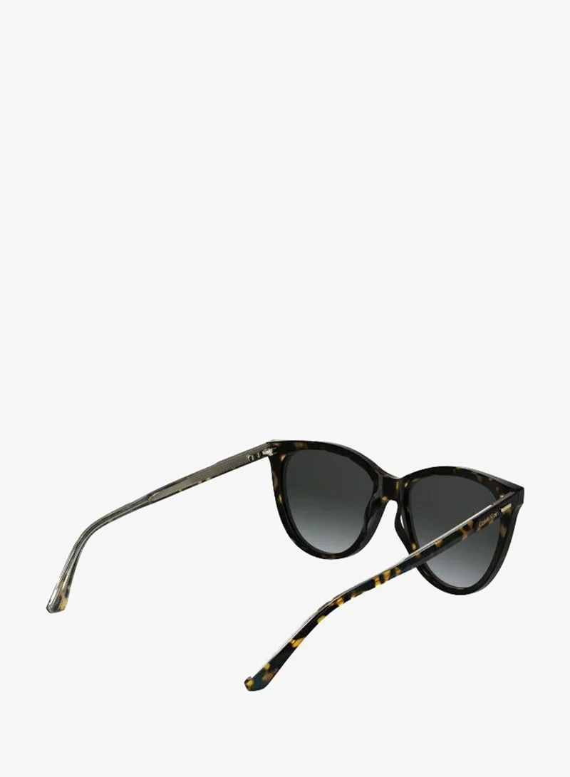 Calvin Klein  Butterfly Sunglasses for Women | Best Price UAE