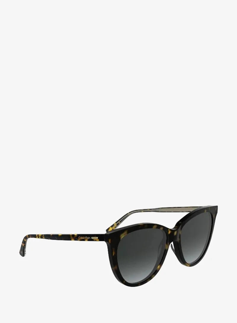 Calvin Klein  Butterfly Sunglasses for Women | Best Price UAE