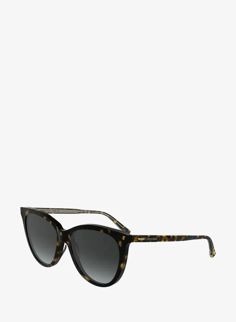 Calvin Klein  Butterfly Sunglasses for Women | Best Price UAE
