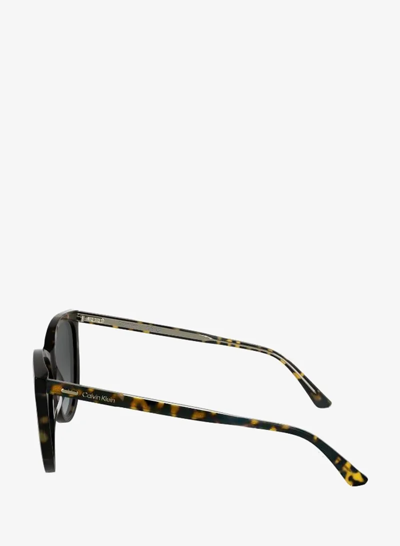 Calvin Klein  Butterfly Sunglasses for Women | Best Price UAE