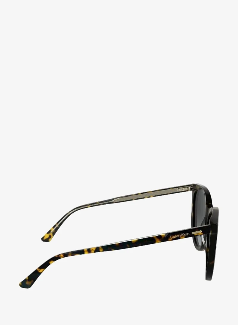 Calvin Klein  Butterfly Sunglasses for Women | Best Price UAE