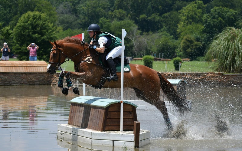 Hyalogic Hyalun Pro 30 - Hyaluronic Acid Joint Support Supplement for Horses â€“ Horse Care Solution with Easy-to-Use Oral Dispenser â€“ Supports Healthy Joints & Cartilage - 30-Day Supply (3oz / 90ml) - Image 3