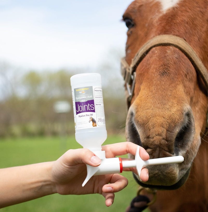 Hyalogic Hyalun Pro 30 - Hyaluronic Acid Joint Support Supplement for Horses â€“ Horse Care Solution with Easy-to-Use Oral Dispenser â€“ Supports Healthy Joints & Cartilage - 30-Day Supply (3oz / 90ml) - Image 2