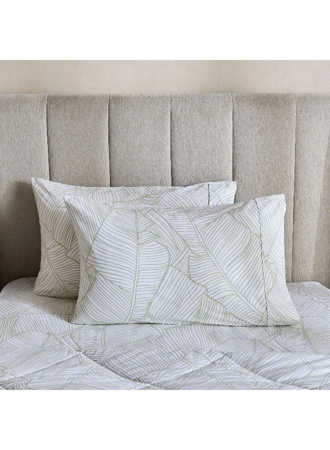 هوم بوكس طقم غطاء وسادة قطني مطبوع مالطا موسى قطعتين ٥٠٧٥ سم