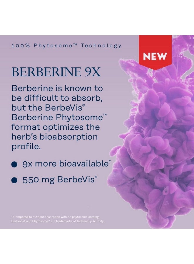 Solaray Berberine Phytosome - 9X Absorption and Easy-to-Digest - Standardized to 30% Berberine HCl - Vegan, Made Without Soy - 60-Day Guarantee - 30 Servings, 30 VegCaps - Image 3