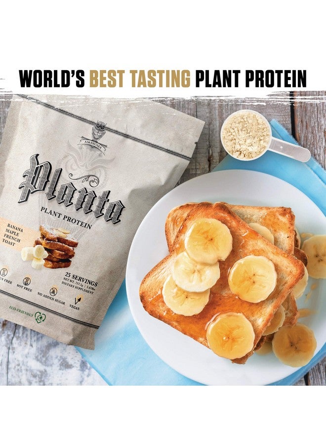 Ambrosia Planta - Premium Organic Plant-Based Protein | Vegan & Keto Friendly | Gourmet Flavors with No Bloating or Stomach Upset | Gluten & Soy Free | No Added Sugar | 25 Servings | Banana Maple - Image 2