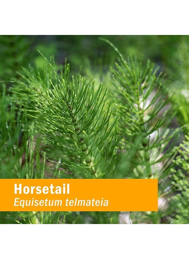 HERB PHARM Horsetail Liquid Extract for Urinary System Support - 4 Ounce  - Image 5
