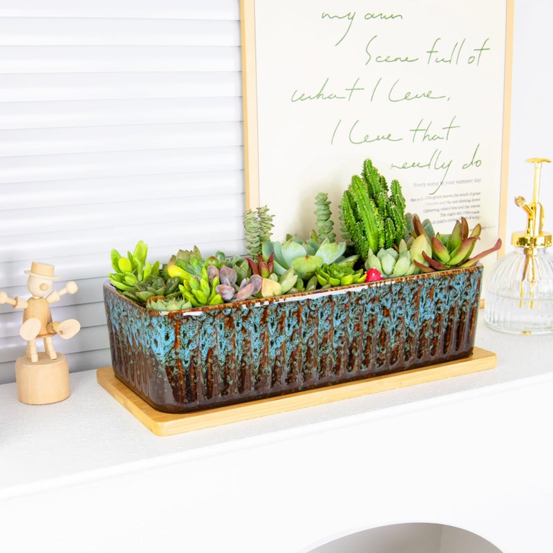 ARTKETTY Succulent Pots - 12 Inch Large Succulent Planters with Drainage Tray, Window Sill Planter, Long Rectangle Ceramic Pots for Indoor Cactus Plants Shallow Bonsai Window Box for Home Garden Decor - Image 4