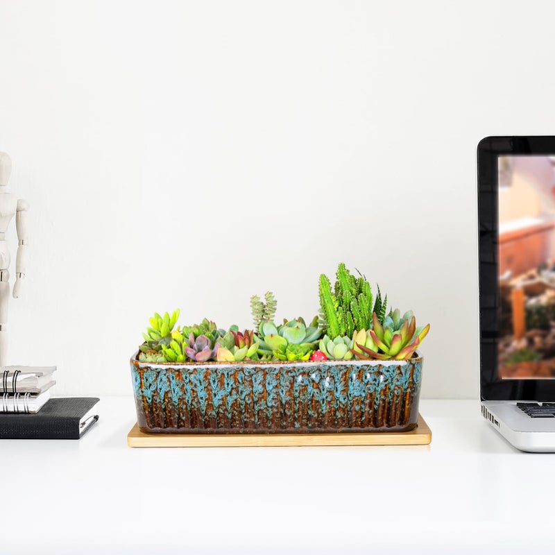 ARTKETTY Succulent Pots - 12 Inch Large Succulent Planters with Drainage Tray, Window Sill Planter, Long Rectangle Ceramic Pots for Indoor Cactus Plants Shallow Bonsai Window Box for Home Garden Decor - Image 5