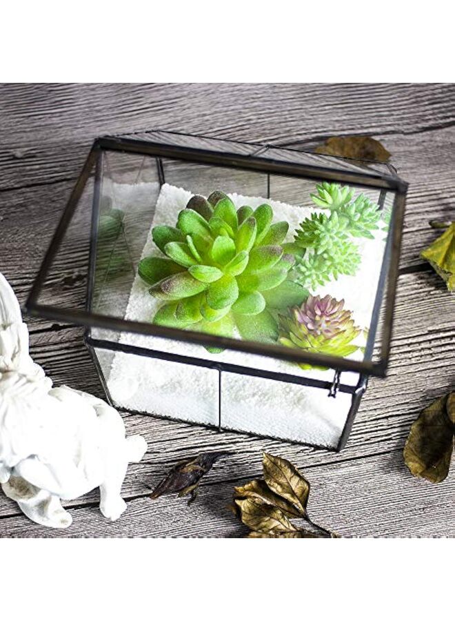 LAMAY Glass Plant Terrarium Container Indoor Small Succulent Terrarium Planter Door for Tabletop Decor DIY 4.9"x4.3"x4.3" - Image 5