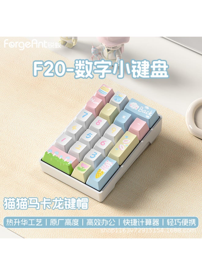 Ruiyi F20 Numeric Keyboard Wired Connection For Laptop Portable Financial Office Mechanical Green Axis Red Tea Axis
