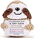 MBL Graduation Inspirational Gifts for Women Little Reminders Birthday Emotional Cheer Support Stress Relief Crochet Sloth Grad Gift for College Students Nurses Week Teacher Her Him Coworker Friend - Image 3