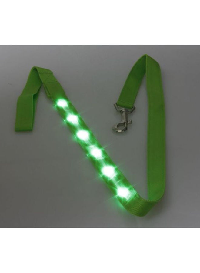 NIBEMINENT Nylon Dog Belt Green 120cm - Image 2