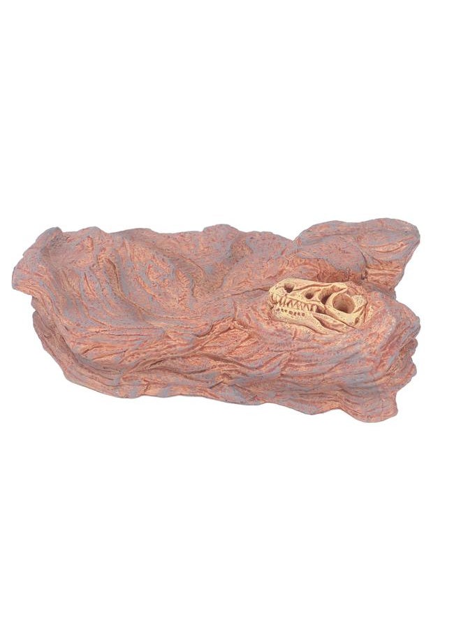Wildlife Scenery Model High Simulation Realistic Static Landscape Model for Home Decoration Light Dinosaur Skull Platform