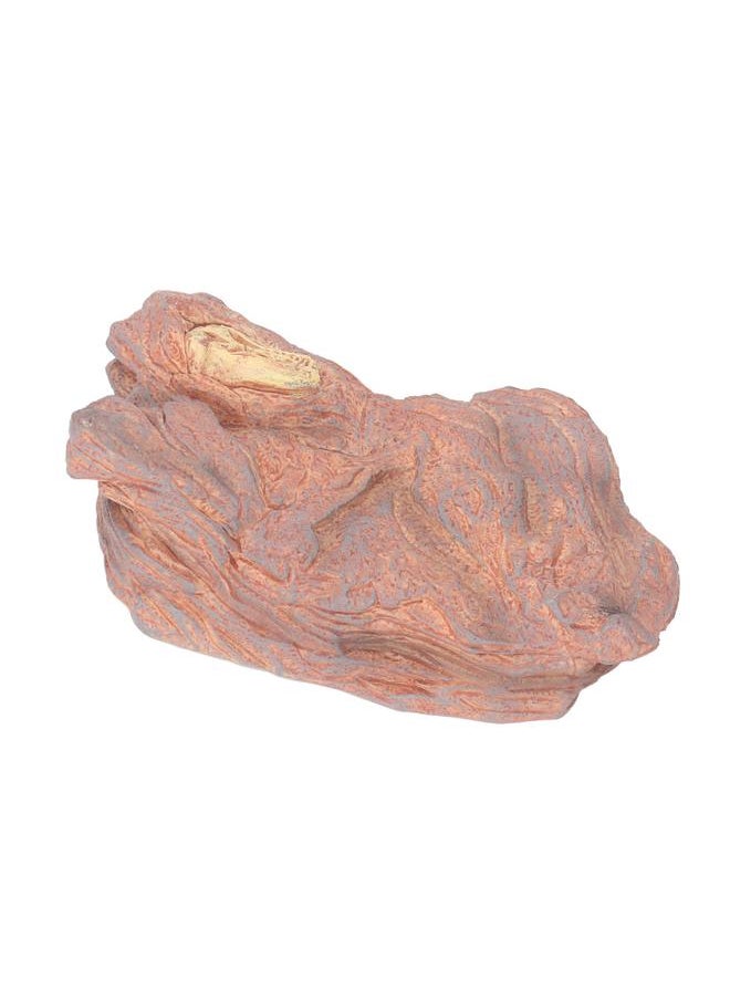 Wildlife Scenery Model High Simulation Realistic Static Landscape Model for Home Decoration Light Dinosaur Skull Platform
