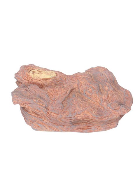 Wildlife Scenery Model High Simulation Realistic Static Landscape Model for Home Decoration Light Dinosaur Skull Platform