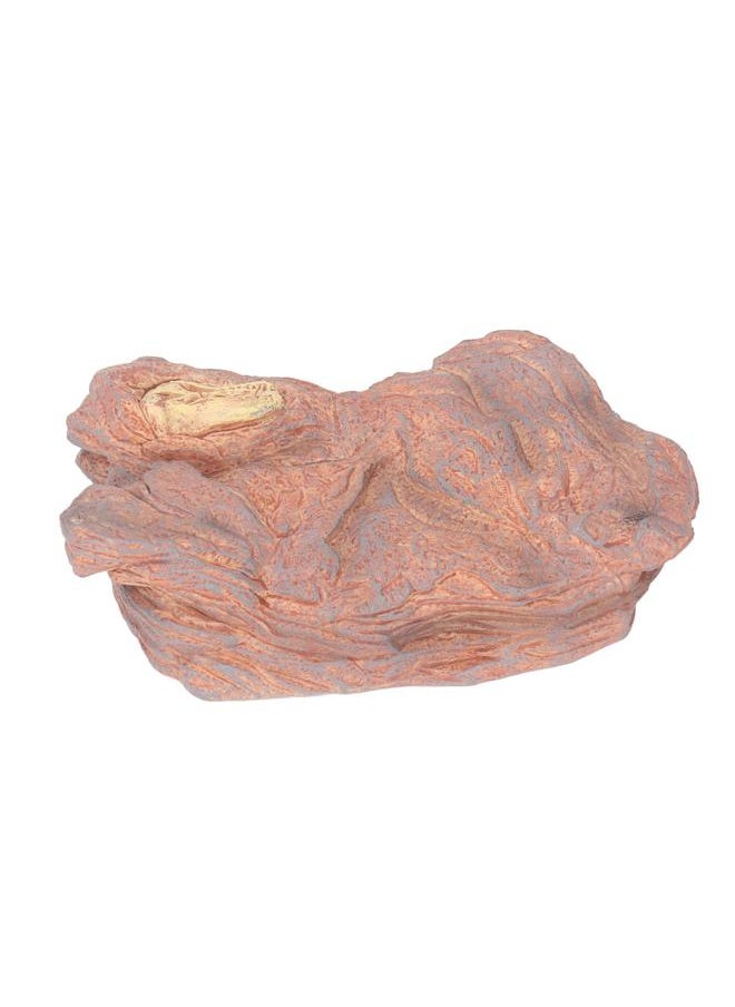 Wildlife Scenery Model High Simulation Realistic Static Landscape Model for Home Decoration Light Dinosaur Skull Platform