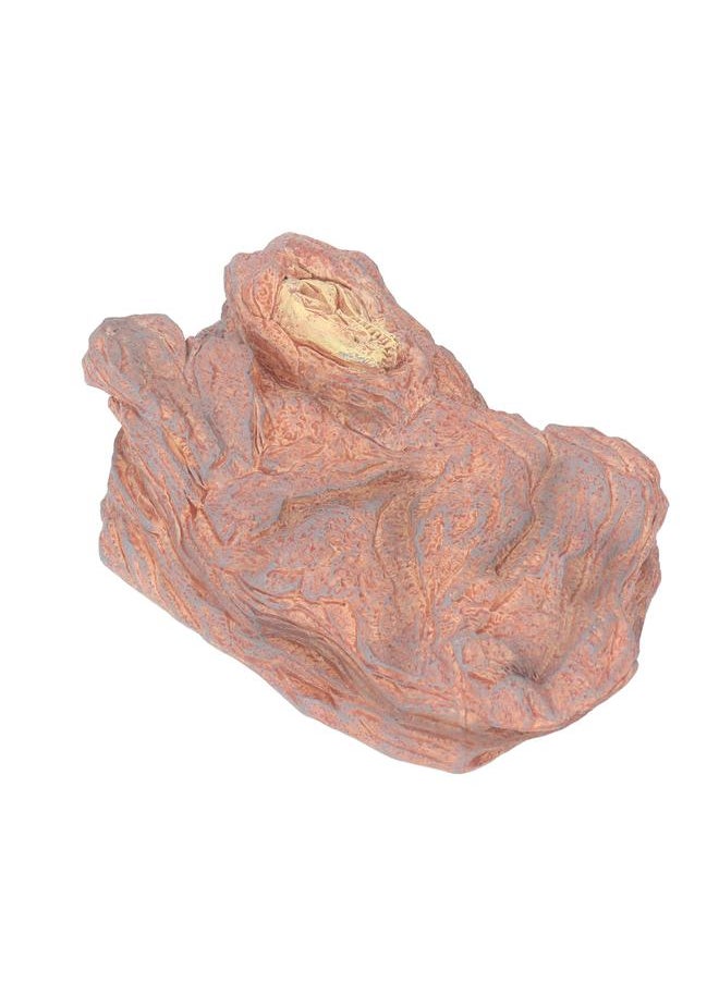 Wildlife Scenery Model High Simulation Realistic Static Landscape Model for Home Decoration Light Dinosaur Skull Platform